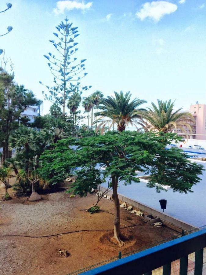Enjoy The Sea And Pool In Playa De Las Americas Eksteriør billede